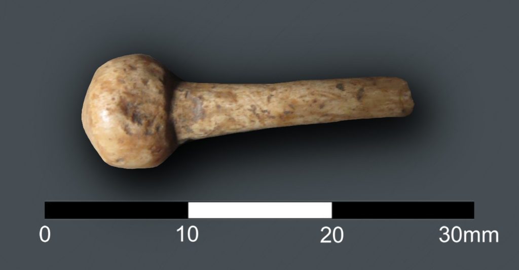 Ian Riddler, Bone and Antler Small Finds Specialist  has confirmed that the hairpin unearthed last week is one of the most common forms