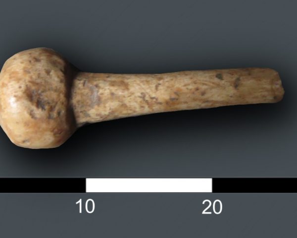 Ian Riddler, Bone and Antler Small Finds Specialist  has confirmed that the hairpin unearthed last week is one of the most common forms