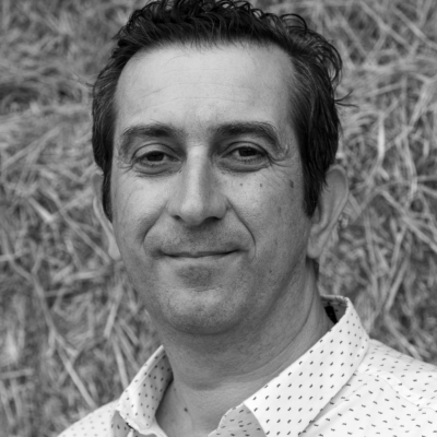Konstantinos Papagiannakis, Director: Audits