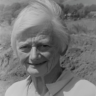 Felicity Wild, Samian Ware Specialist
