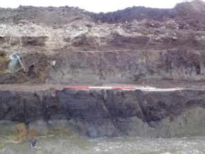 Photo 3: Stepped excavation trench showing basal deposit and peat on lower step