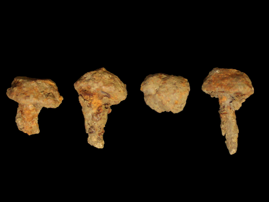 These four hobnails were found in the fill of a cremation vessel