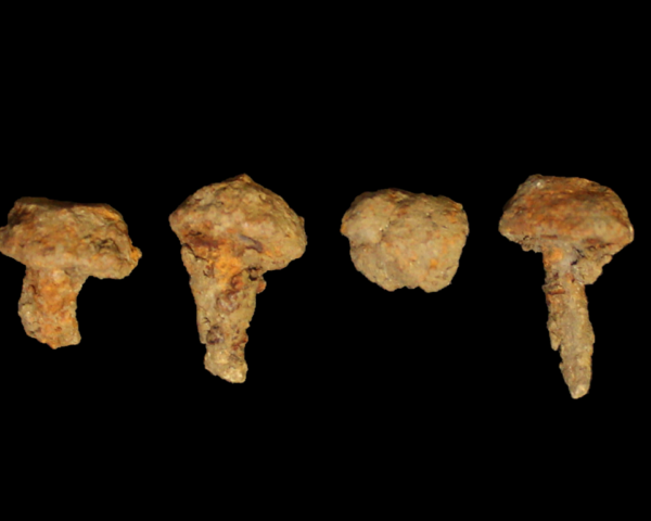 These four hobnails were found in the fill of a cremation vessel