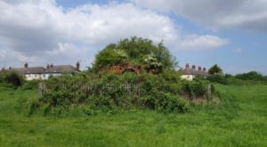 Photo 1: Grade II listed brick kiln