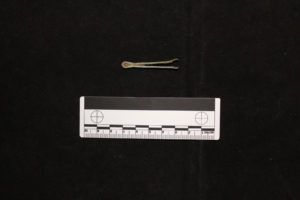 Copper alloy tweezers.