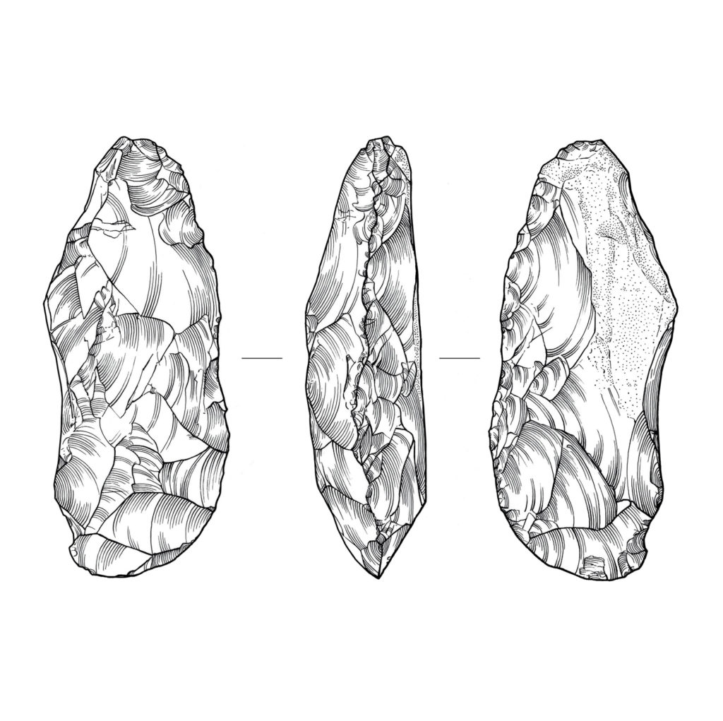 Mesolithic flint tranchet adze