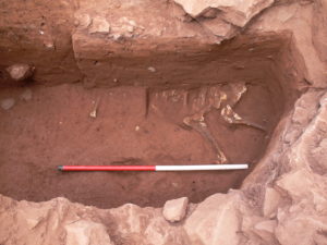 Photo 1: a 'ritual' horse burial