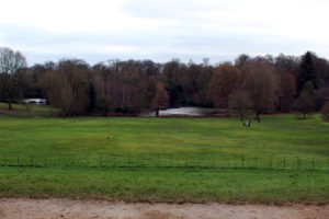 Photo 2: view from the south terrace