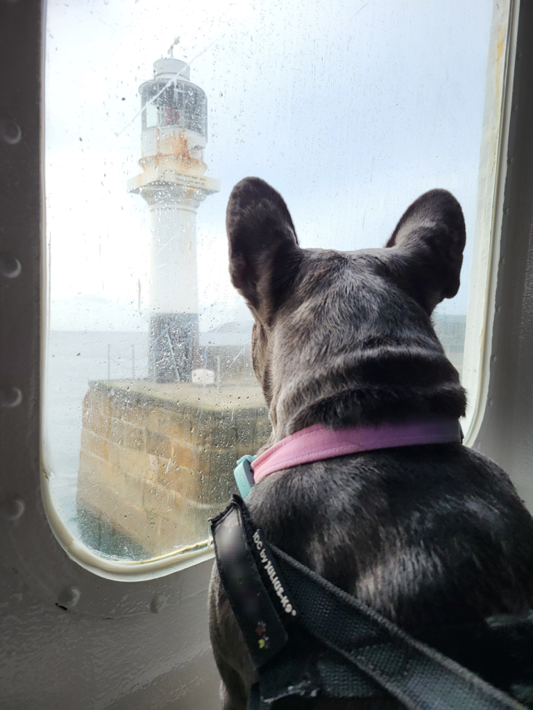 sea dog